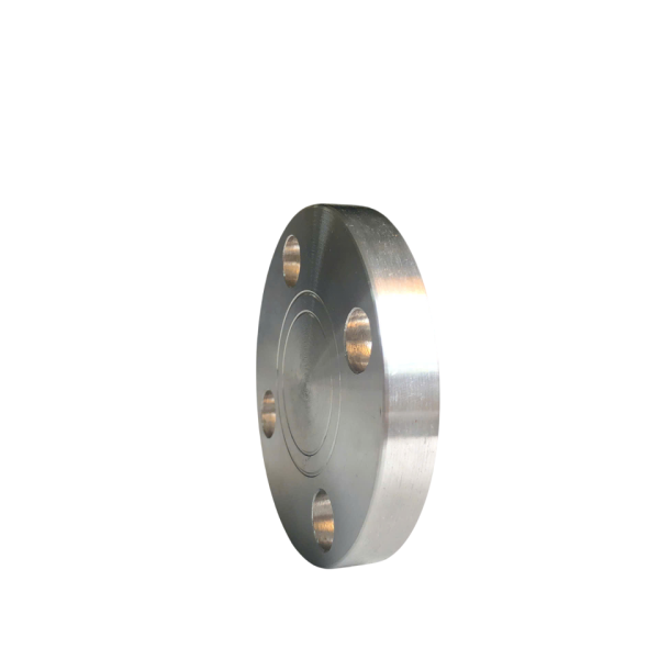 Mặt bích mù  Inox DIN2576 PN10 FF